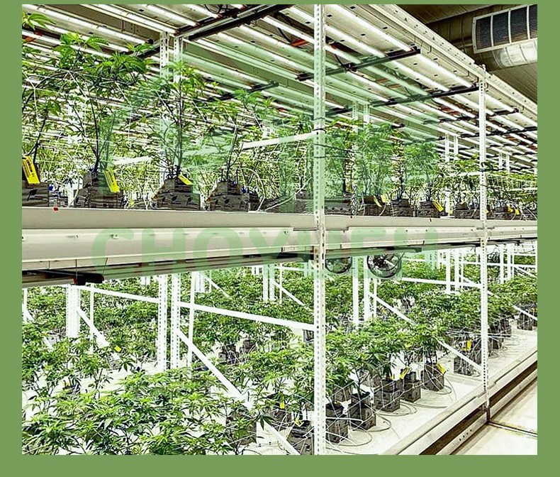 Construction Irrigation Holding Stands Intelligent Home Hydroponic Lettuce Aquaphonics Growing System