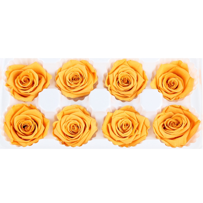 Decorative Preserved Flower Heads , Beautiful Rose Flower Heads Multiple Color