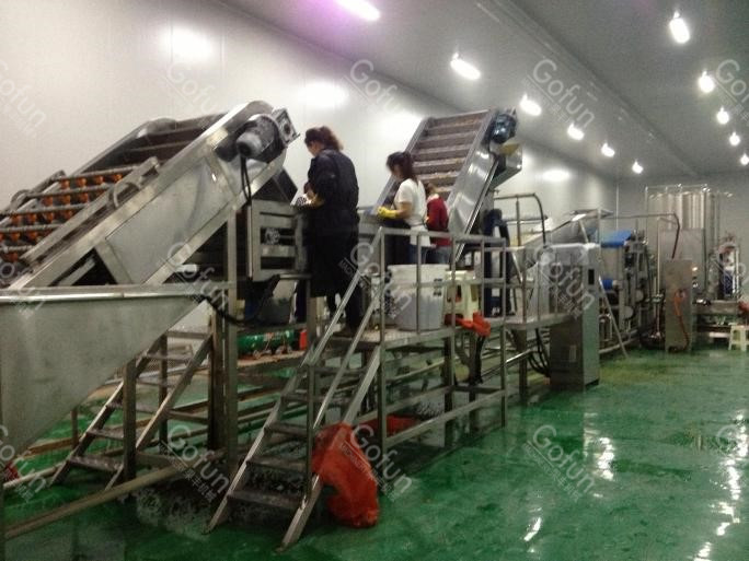 Fresh Fruits Mango Juice / Jam Processing Line 10 - 200T/D