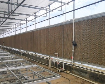 Steel Frame Agricultural Multi Span Greenhouse For Year Round Crop Production