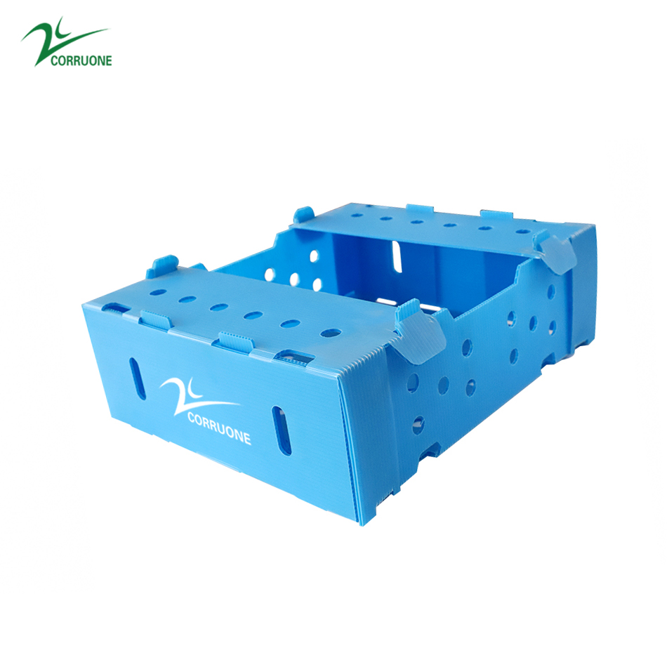 Embossing PP Vegetable Corrugated Boxes Rice Meat Corflute Box