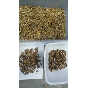 Automatic Walnut Color Sorter Processing Machine RGB Sorting Machine Cashew Nut