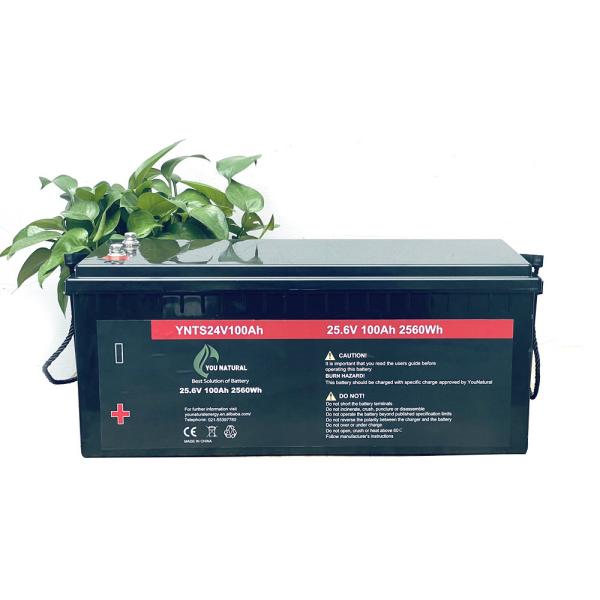 24V LiFePo4 Battery 3000 Cycles Long Cycle Life 2560wh 100ah Rechargeable