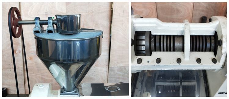 Sesame Nut Grains Electric Oil Press Machine ZX125 210-300kg/h High Oil Output Rate