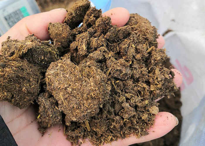 Animal Waste Pellet Machine Organic Fertilizer Granulator With Low Maintenance Cost