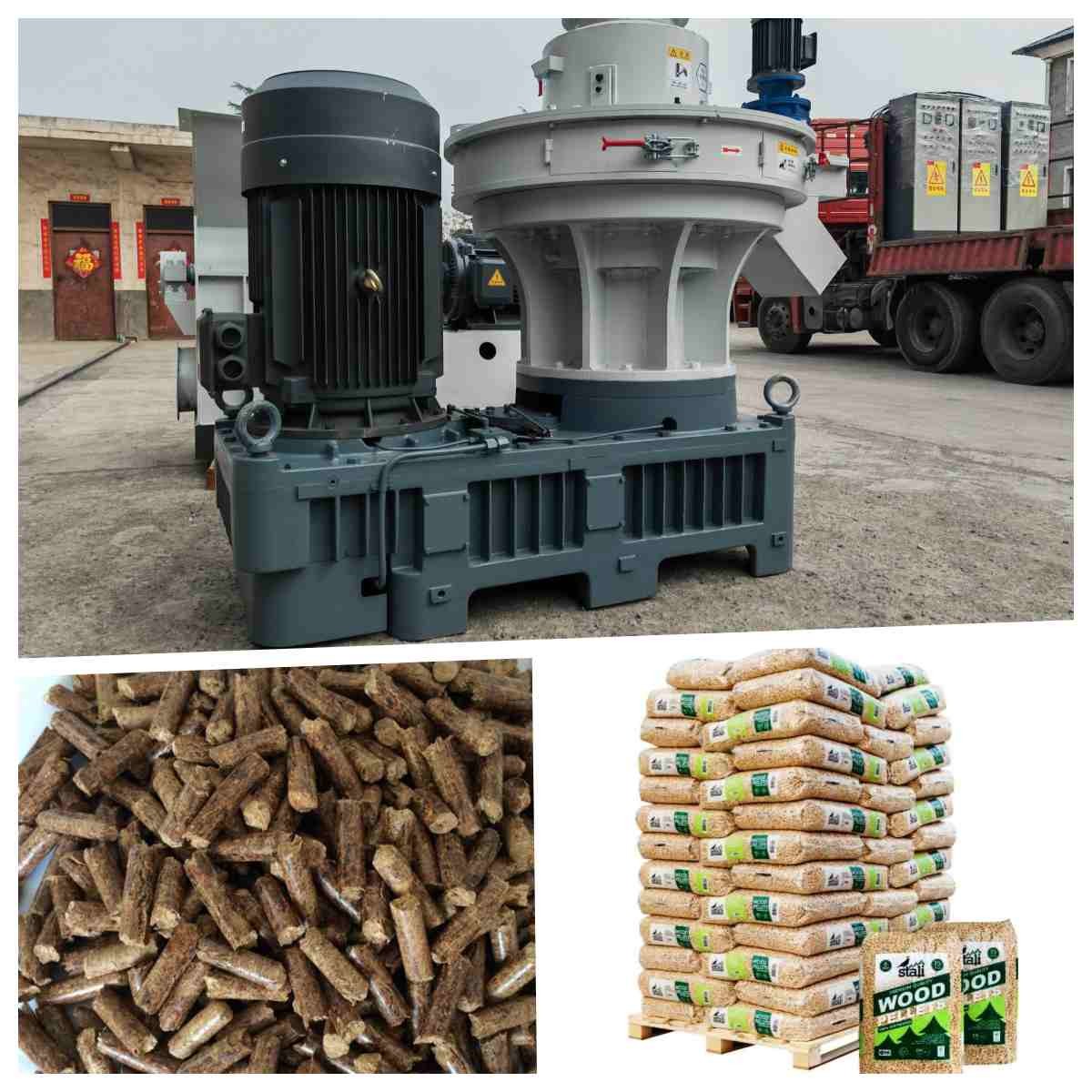 4-12mm Wood Pellet Mill Machine With 0.8-4t/h Capacity And 380V Voltage