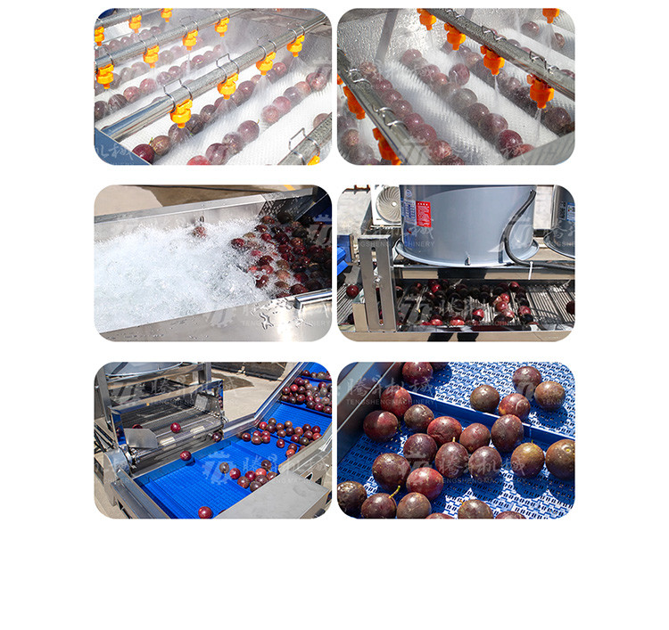 Fruit And Vegetable Wool Roller Bubble Cleaning Machine 1500KG/H