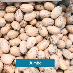 2 Tons Capacity 380V 8 Channels Pecan Sorting Machine With CE Certification