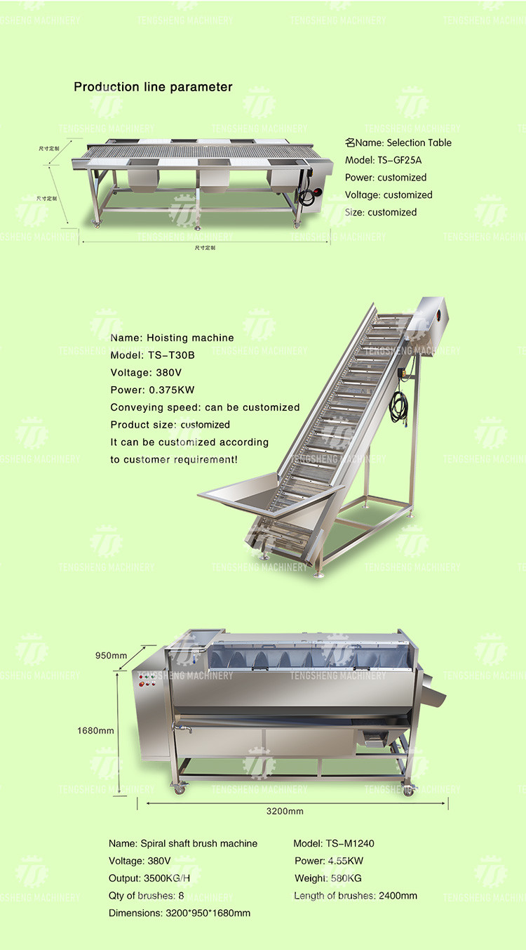 Stainless Steel Fruit And Vegetable Processing Line Potato Picking Hair Roller Bubble Washing Machine