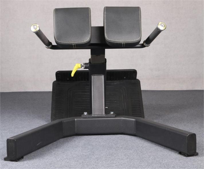 High Quality 45 Degree Back Extension Roman Chair Bench Machine Fitness Equipment Back Extension Roman Chair