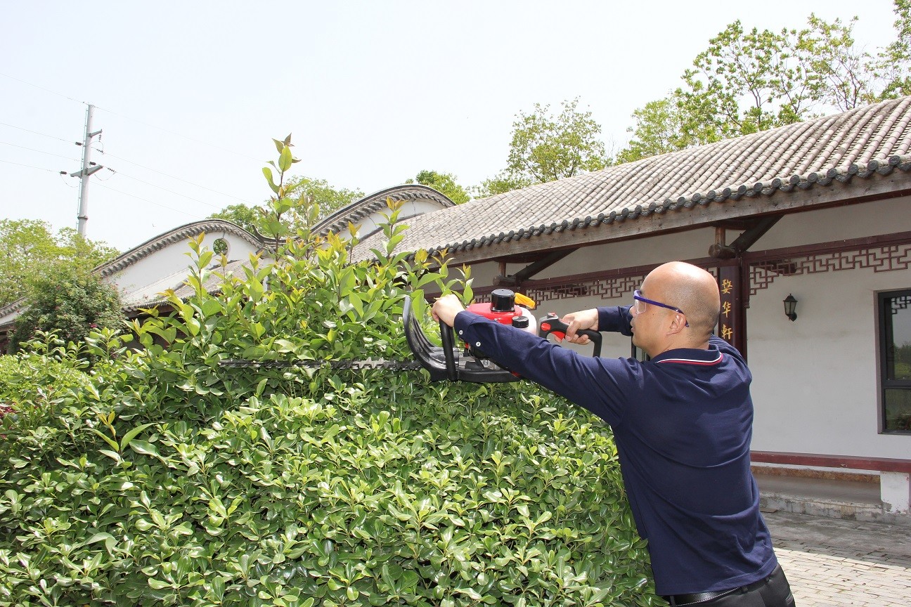 7500 Rpm Two Stroke Hedge Trimmer Recoil Mini Hedge Cutter 750mm Cutting Width
