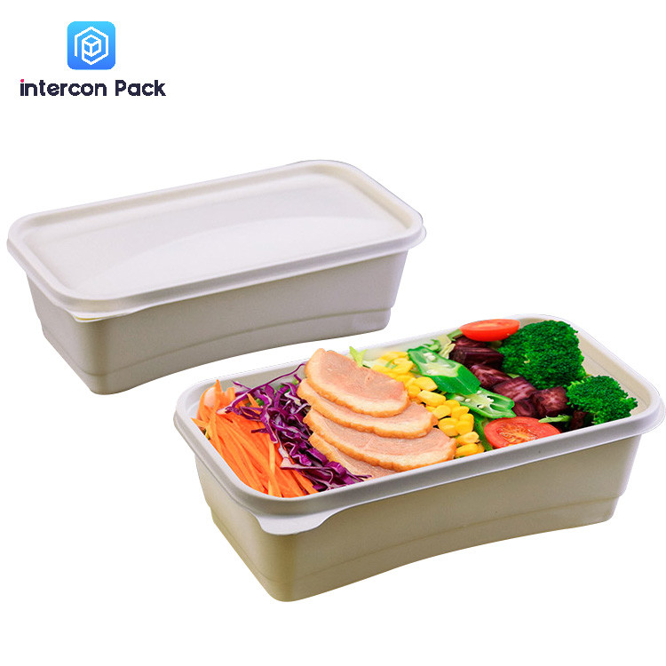 Takeaway Sugarcane Bagasse Food Container Biodegradable Disposable With Compartment