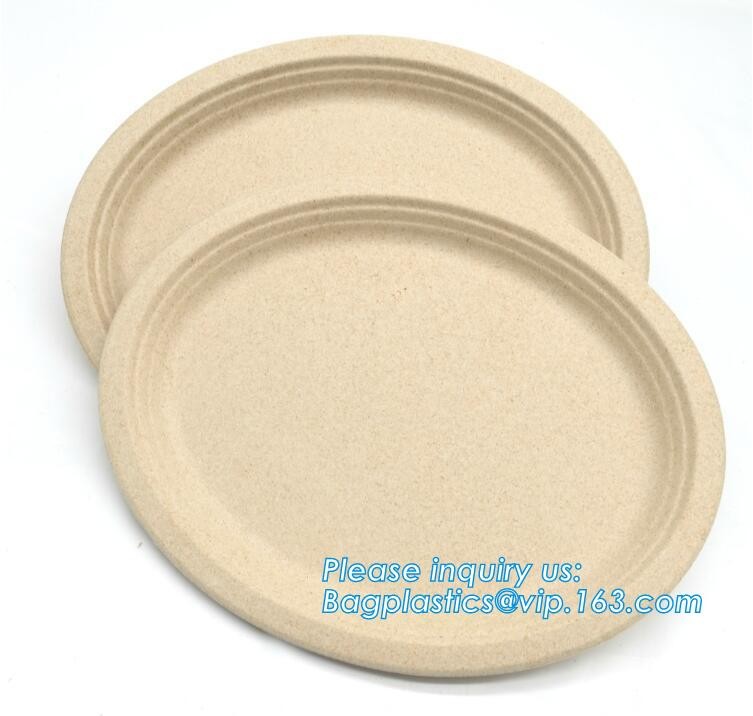 Meal Prep Containers Free Sample Bento Lunch Box Biodegradable Food Container Plastic Wheat Straw Lunch Box bagplastics