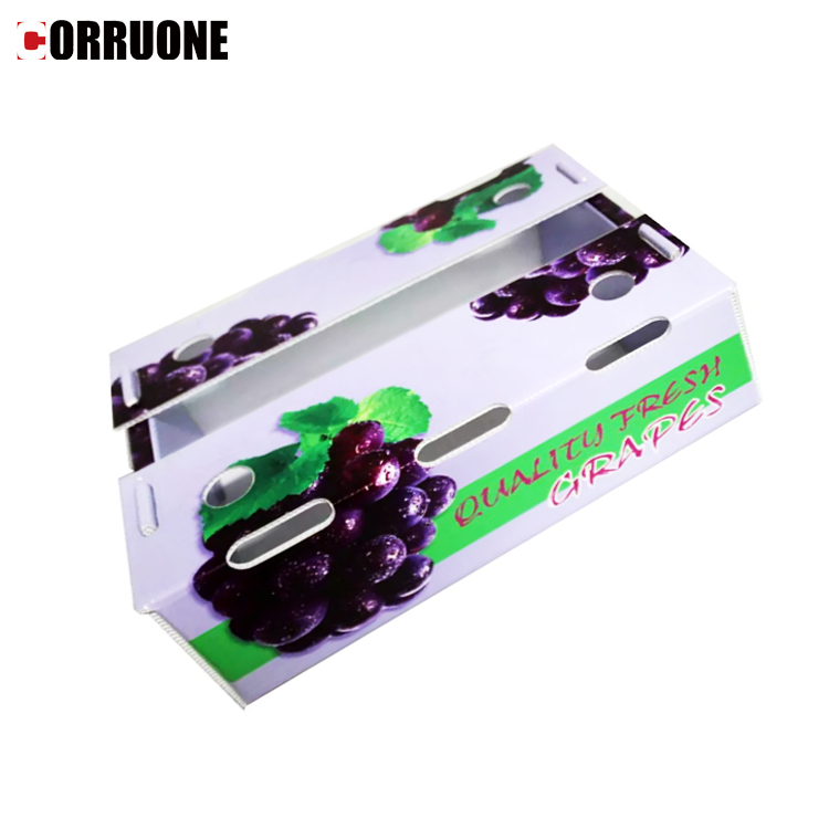 PP Corrugated Plastic Tree Guard Corflute Plastic Tree Trunk Protectors