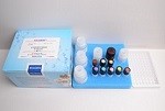 Milk Sulbactam ELISA Test Kit Short Testing Time High Sensitivity