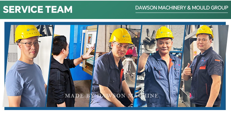 Automatic 500ml 600ml 800ml PET Pesticide Bottle Blowing Molding Machine