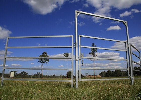 30-40 Head 50x50 High Visibility Livestock Cattle Yard Panels