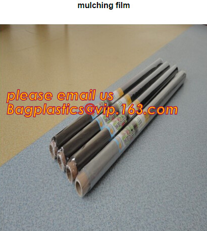 Multi-Span Plastic Film Cover Natural Ventilation Vegetable Greenhouse,Greenhouse Kits Plastic Greenhouse 200 micron gre