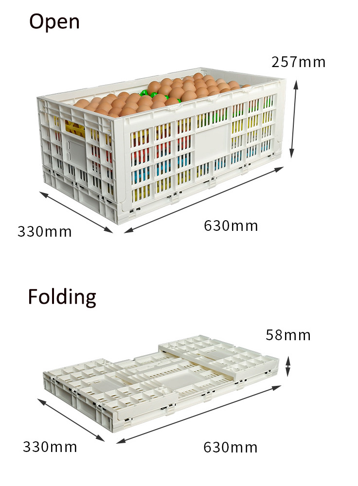 Foldable 14 Egg Storage Box Stackable Plastic Kitchen Organizer Bin for Storing Eggs