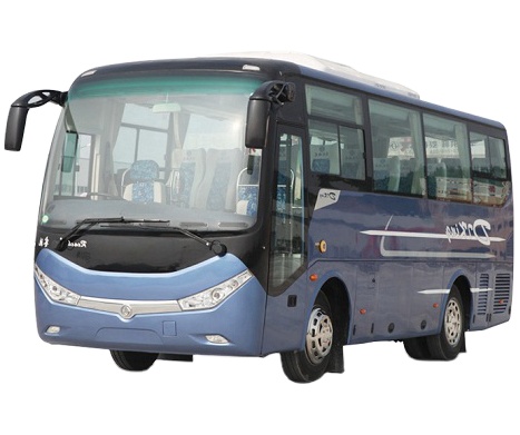 10-19 Seat LHD/RHD Drive Wheel Diesel Passenger Bus with Customer's Requirement