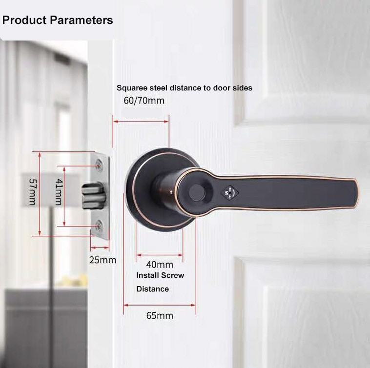 Security Fingerprint Scanner Smart Pin Key Keyless Door Handle Locks
