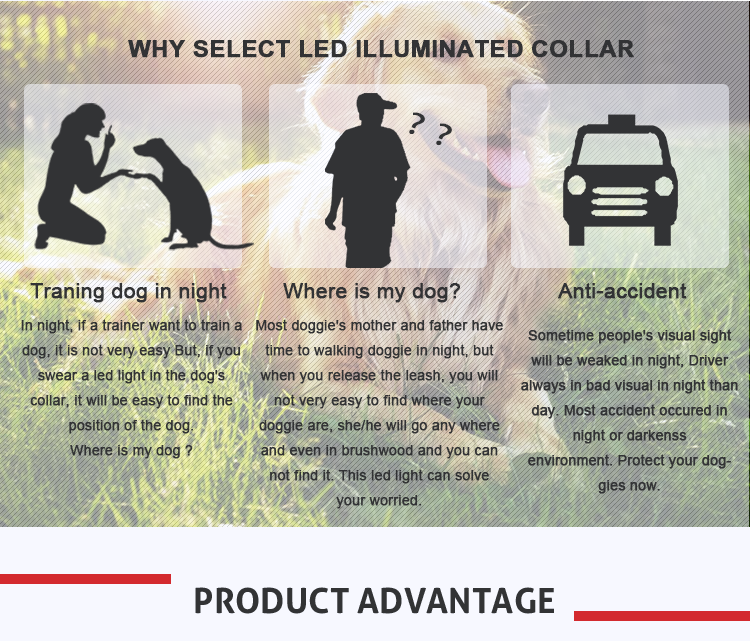 Custom Canvas Fashion Dog Collar And Leash Set For Dogs Customerized