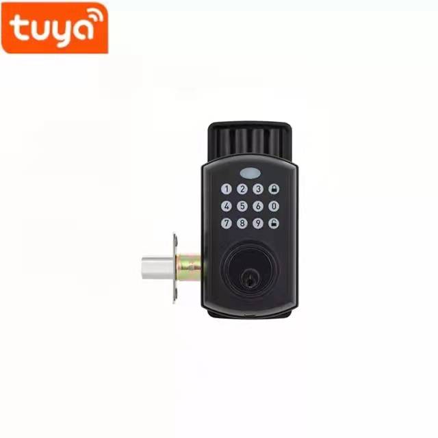 Aluminum Alloy Residential Electronic Lock Fingerprint Smart Lock Tuya App