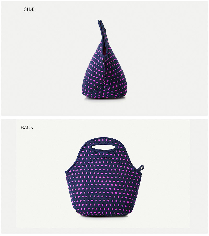 Women Reusable Waterproof Insulated Lunch Carry Bag