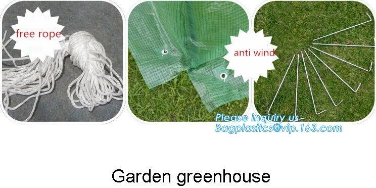 Agricultural Glass Green House for Commerical,Pop up Greenhouse Eco-friendly Fiberglass Poles Overlong Cover 98"x49"x53"