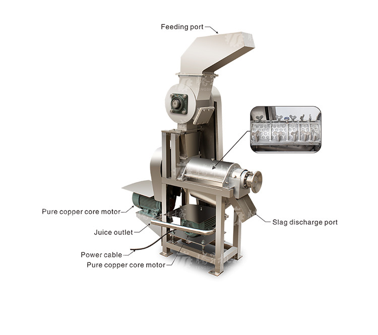 Pears Oranges Papaya Fruit Juice Processing Line Ozone Disinfection