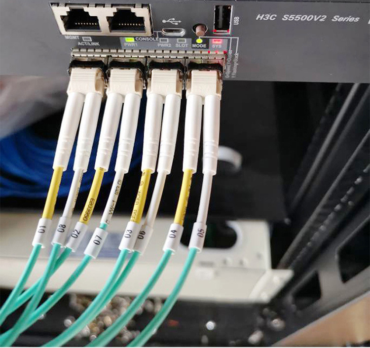 100G OM3 MPO to 8 12 24 Core LC Duplex Multimode Fiber Breakout Cable MTP Fiber Jumper