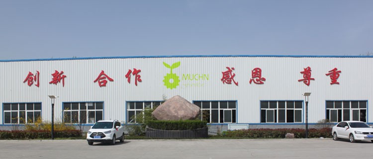 Factory wholesale home furniture single bed for apartment