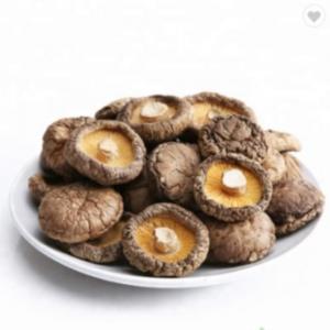 China Healthy Dry Shiitake Mushroom 1kg Smooth Surface 2 Years Shelf Life on sale