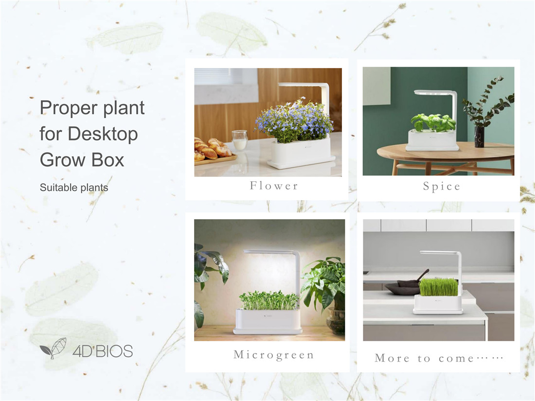Desktop Grow Box