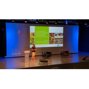 350inch Large Motorized Projection Screen With RF Remote Control