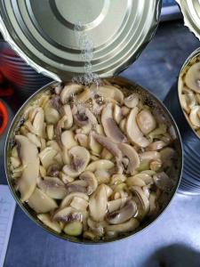 China Original Flavor Canned Champignon Mushroom Cool & Dry Storage PH 4.5-6.5 on sale