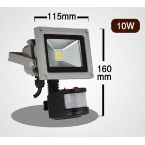 COB led flood light PIR Sensor 10W
