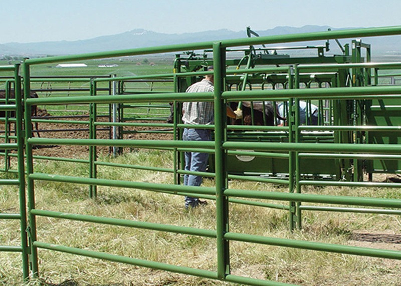 6-8ft Width Hot Dip Galvanized Farm Fence Metal Iron Steel