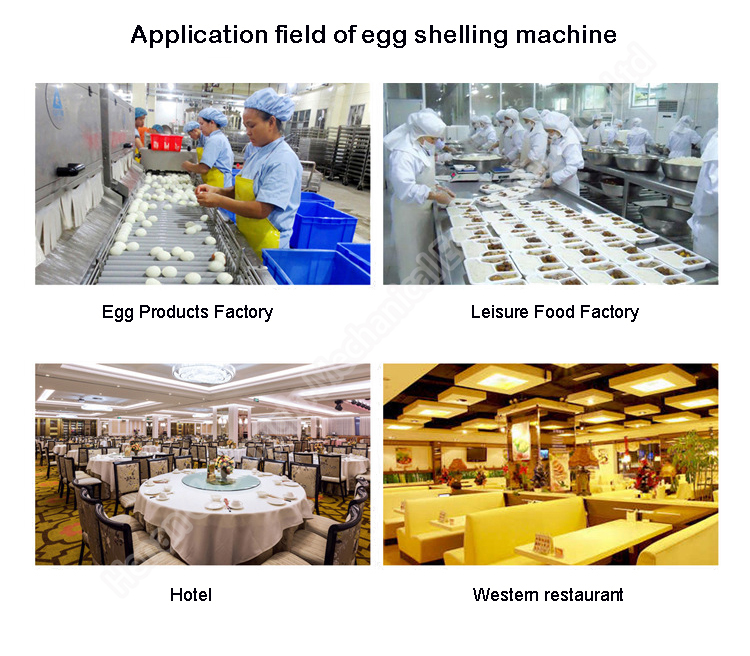 220V, 50HZ Chicken Egg Shell Remover Machine / Commercial Hard Boiled Egg Peeler 150kg