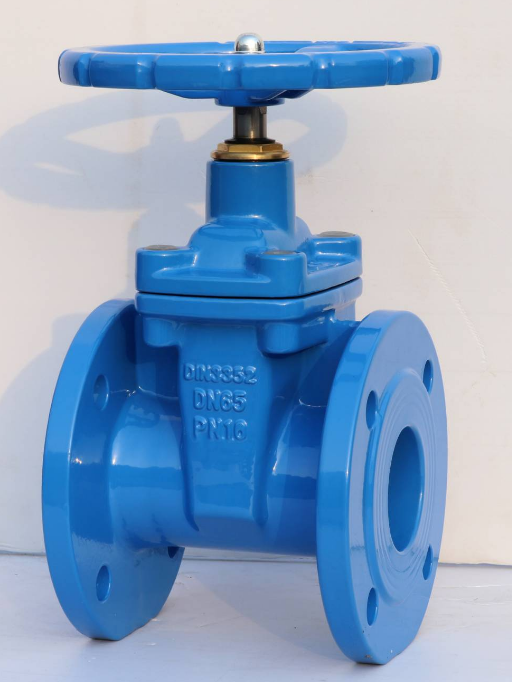 Industry Water Valve Resilient Seat Soft Flange Water Control Stainless Steel Gate Valve