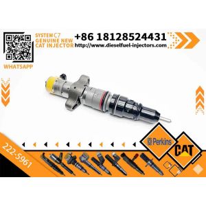 China Carter 222-5961 Fuel Injector for Construction Machinery for Carter Fuel Injector Assemblies and Systems on sale