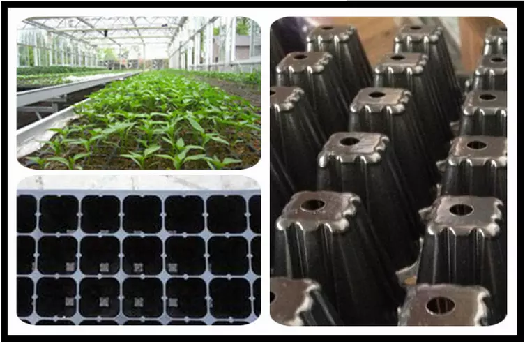 Plastic Growing tray Vegetable garden plants plastic polyethylene cell seed tray