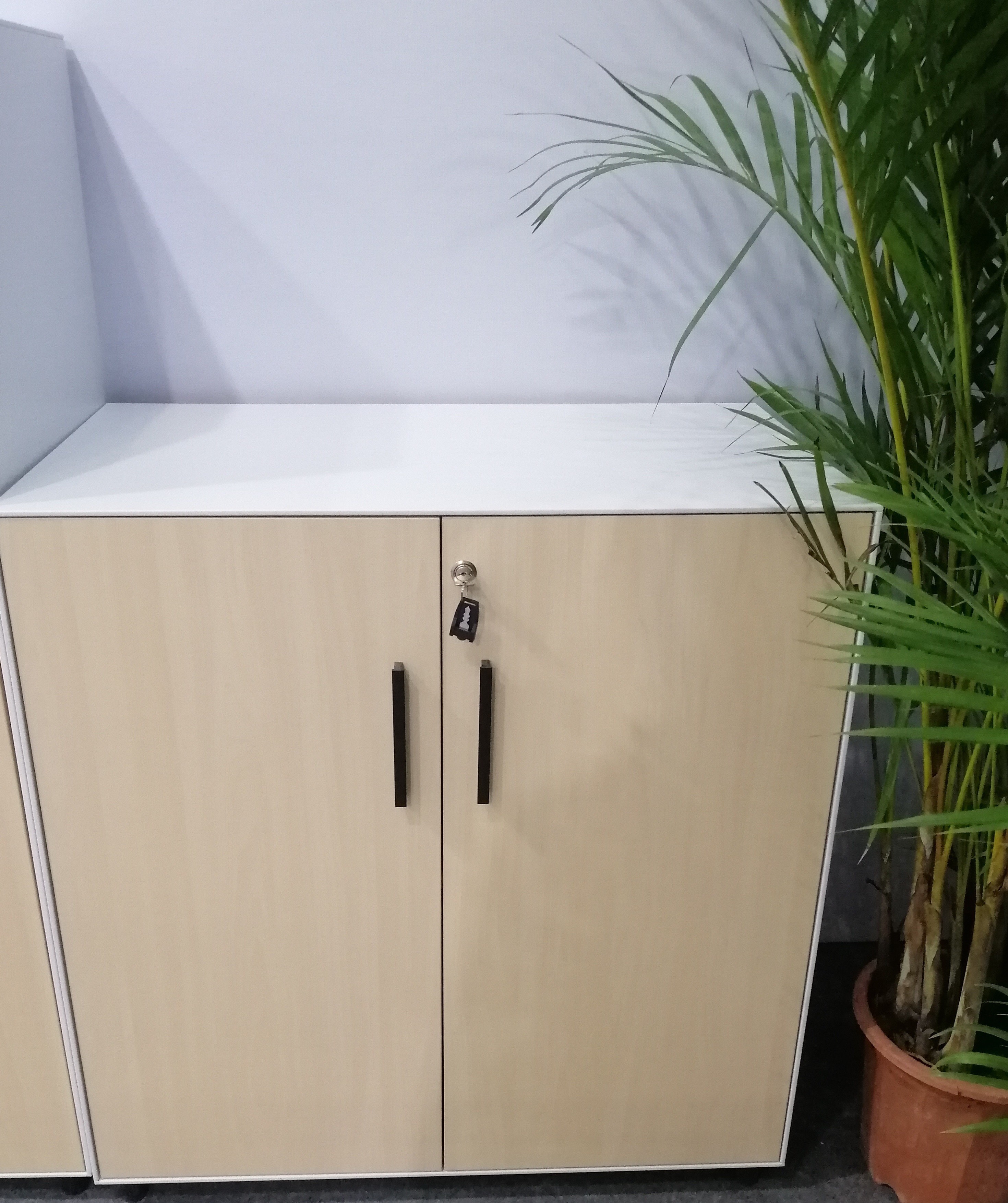 5mm Edge Wood Door Slim Metal Storage Cabinet H850*W800*D450mm