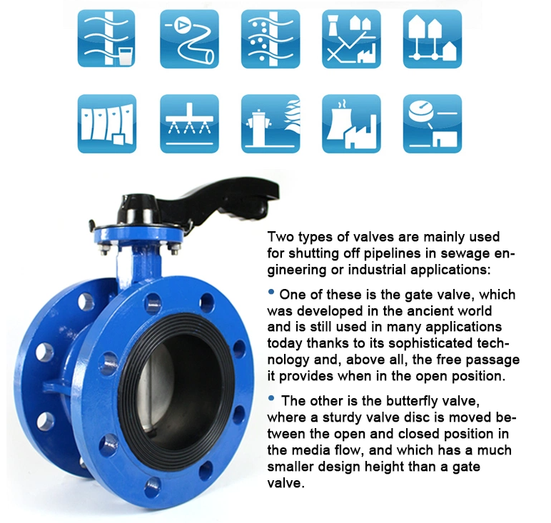Medium Temperature Double Flange Metal Seated Butterfly Valve