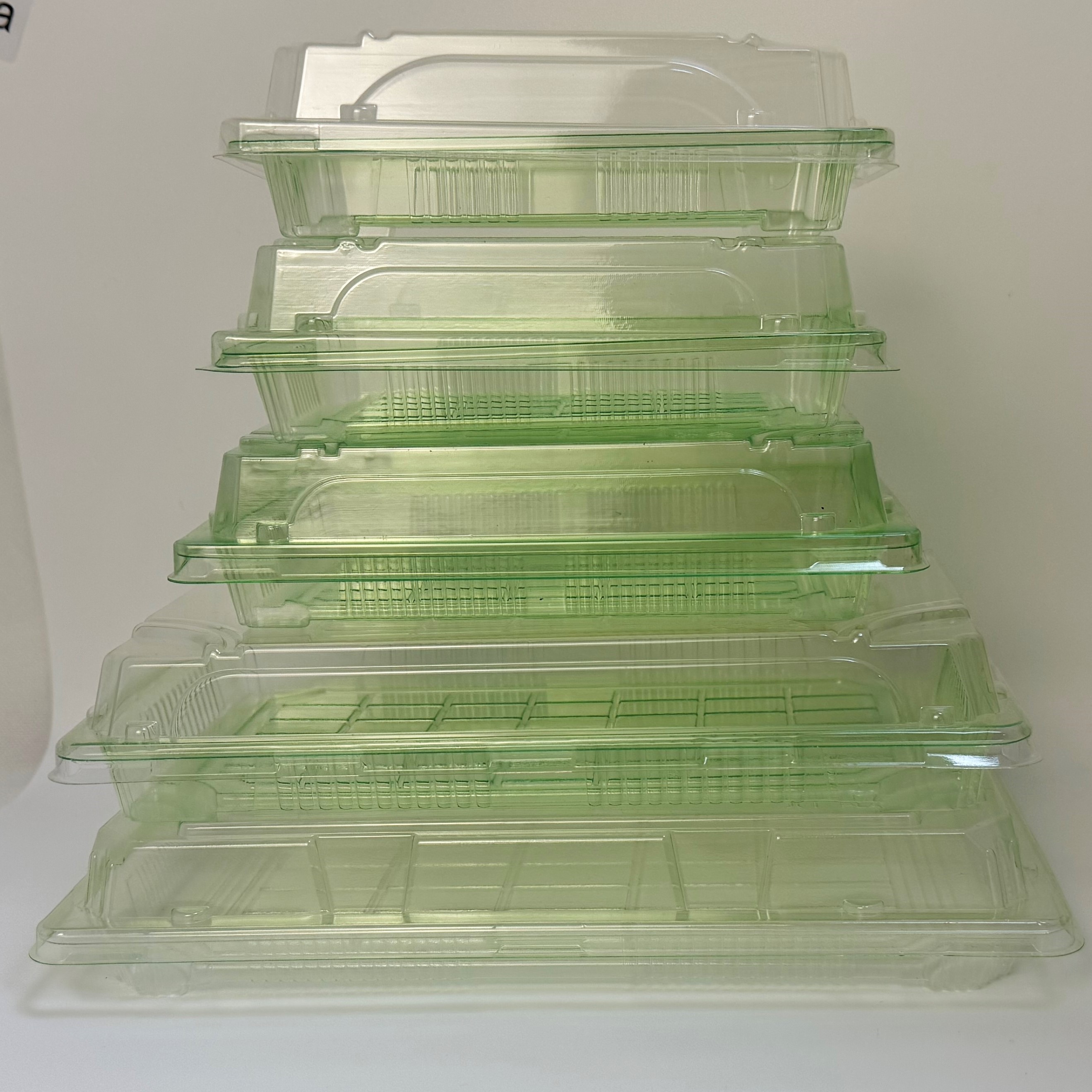 PLA Biodegradable Packaging Container Customized Size Logo Disposable Plastic Serving Trays PLA Food Tray