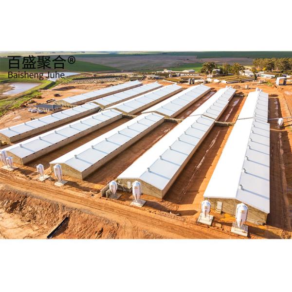 Customizable Steel Structure for Dairy Farming Hot Dip Galvanised and Paint