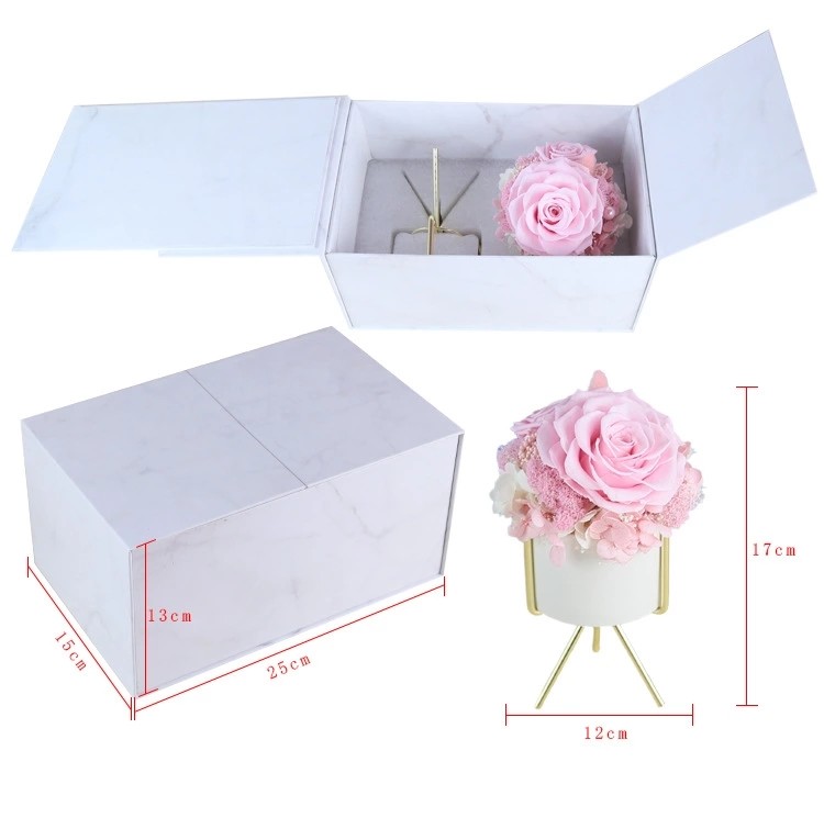 New Arrival preserved flowers ornament luxury immortal rose gift for teacher/friend