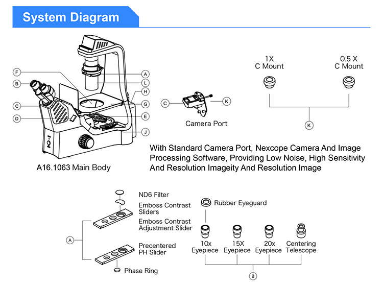 OPTO EDU A16.1063 LED Inverted Fluorescence Microscope