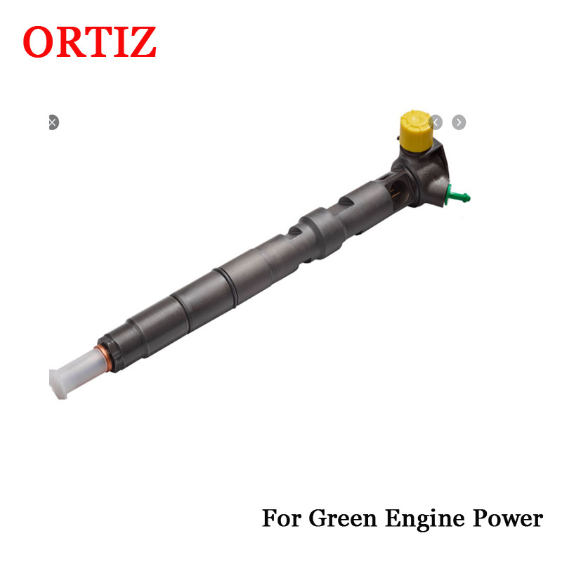 A6510700587 Delphi Common Rail Injector R00002D Delphi Diesel Injector 28342997