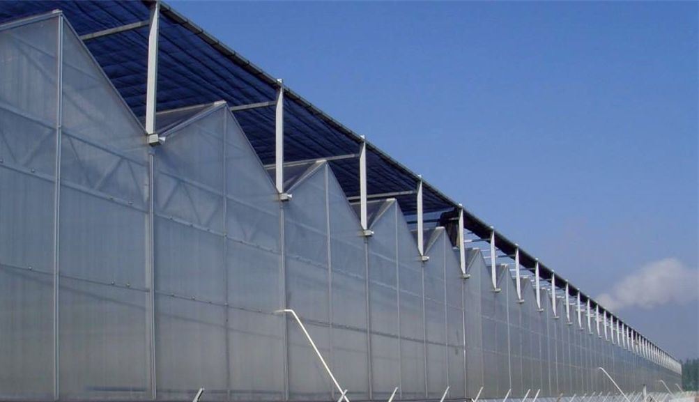 Modern Sunlight Glass Greenhouse with Automatic Irrigation System